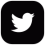 2-logo-twitter